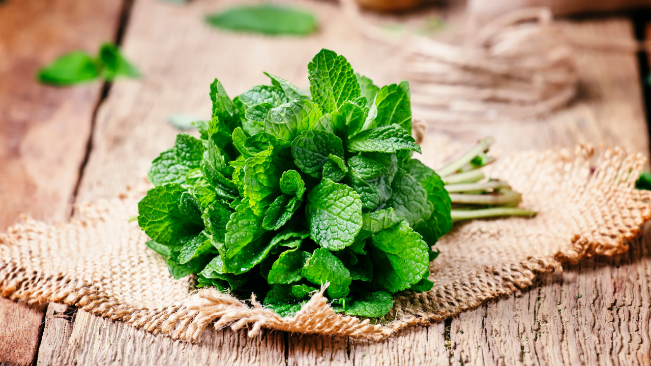 Mint Leaves Benefits: Mint Leaves: Powerful benefits you must know | -  Times of India