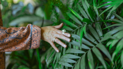 Touching plants with bare hands: How this daily habit can reduce stress