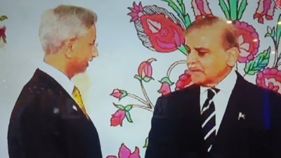 Watch: S Jaishankar's formal greetings at Pakistan PM's informal dinner party in Islamabad