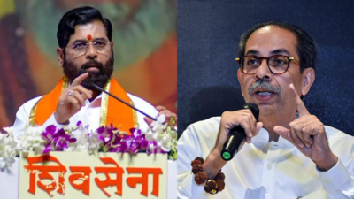 Maharashtra assembly elections: CM Shinde claims majority for Mahayuti, rival Sena hopeful of 'justice'