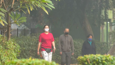 AAP govt 'lacks' planning, effective action to curb pollution in Delhi: BJP
