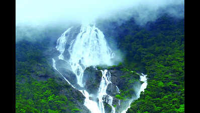 After CM meet, Dudhsagar tour operators rev up jeeps