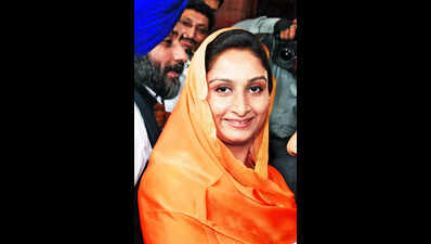 Harsimrat and Warring on the ground, Gidderbaha bypoll contest to be tough