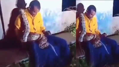 In Andhra Pradesh, a giant python surrounds a drunk man; video goes viral