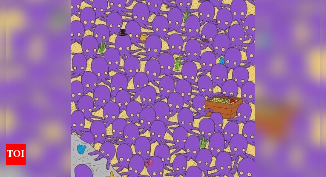 頭の体操: 誰でもタコを見ることができますが、最も賢い人だけが隠れた魚を見つけることができます |
