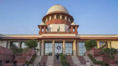 'LG must act before ... ': SC pulls up DAA over felling of trees in Delhi's Ridge area