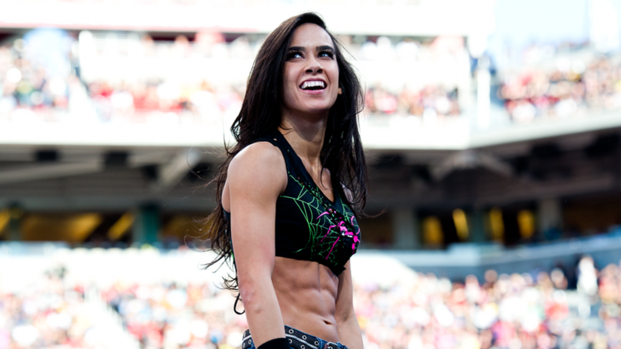 Interesting Facts About AJ Lee
