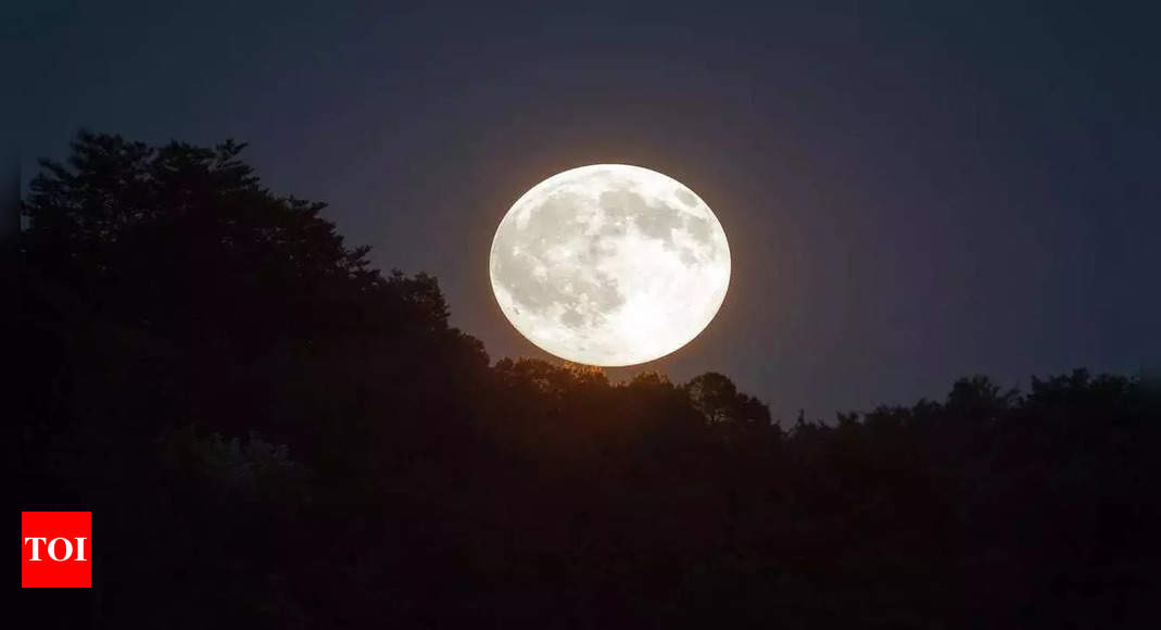 Hunter’s Moon 2024: Know why is it called Hunter’s Moon, its significance and when to view |