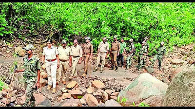 Govt to get 150 e-vehiclesfor commute inside forests