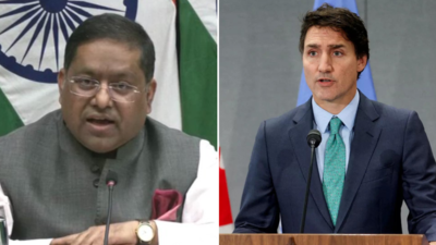 Trudeau alone responsible for damage to India-Canada relations: MEA