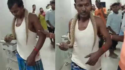 Watch: Bihar man walks into hospital with venomous Russell’s Viper that bit him