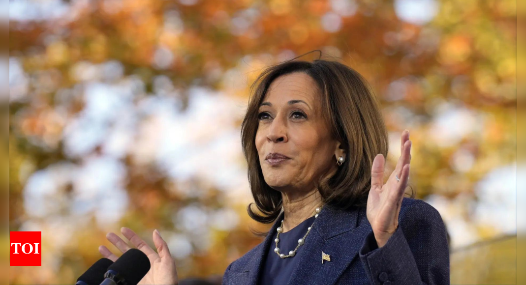 ‘What are you talking about?’: Kamala Harris fumbles Fox News interview – Times of India