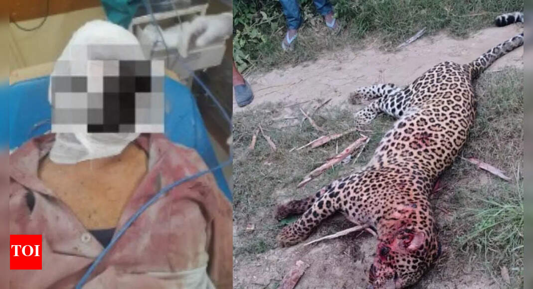 Uttar Pradesh Exsoldier fights off leopard, kills it after 5minute