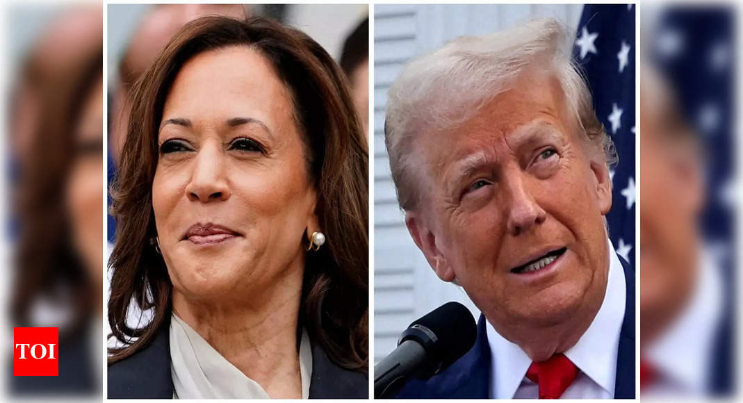 Four-Year Degrees vs. Skill-Based Education: Harris and Trump’s Stance on Federal Jobs