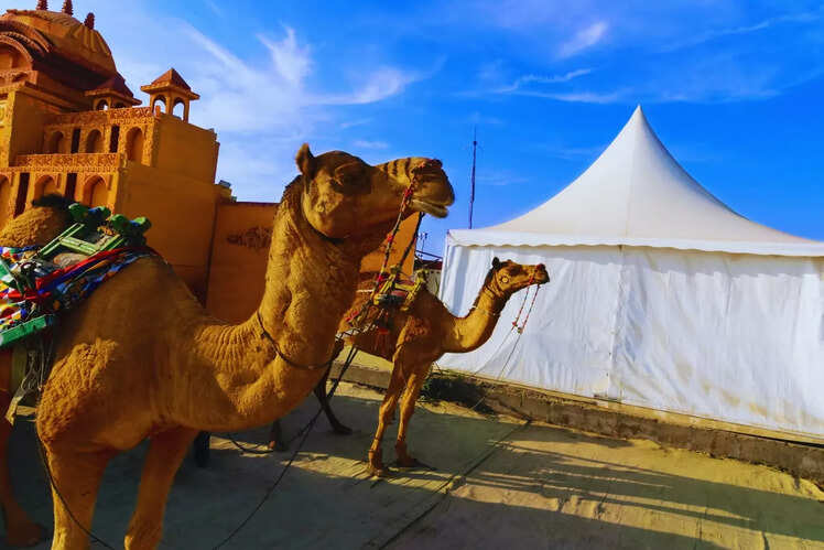 Rann Utsav in Gujarat
