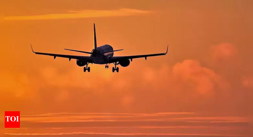 Hoax calls hit 13 more flights; isolated incidents, says mantri India