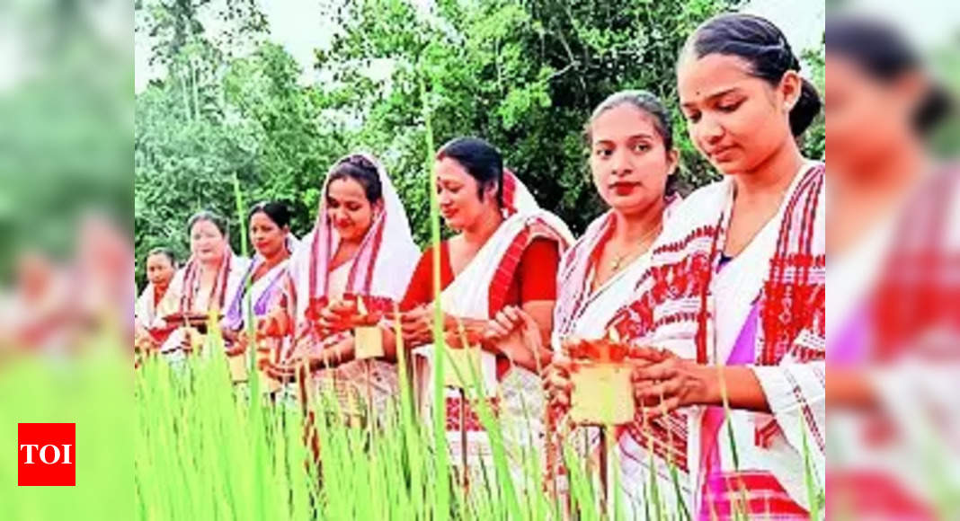 Kati Bihu: Kati Bihu 2023: Assam's Simple Celebration of Nature's Cycle ...