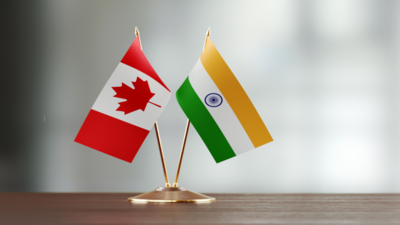 Canadian security expert says West downplays India's concerns about Khalistan because they are not under direct threat