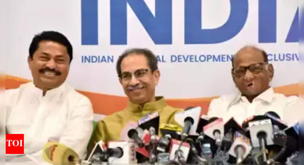 Vidarbha Assembly Elections 2023 BJP and MVA Clash for Control in