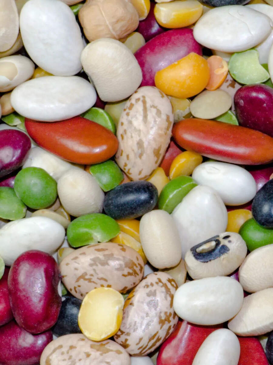 10 types of beans and their benefits Times of India