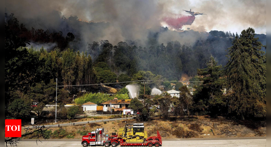 Oakland bushfire destroys homes, forces hundreds to evacuate as blaze spreads – Times of India