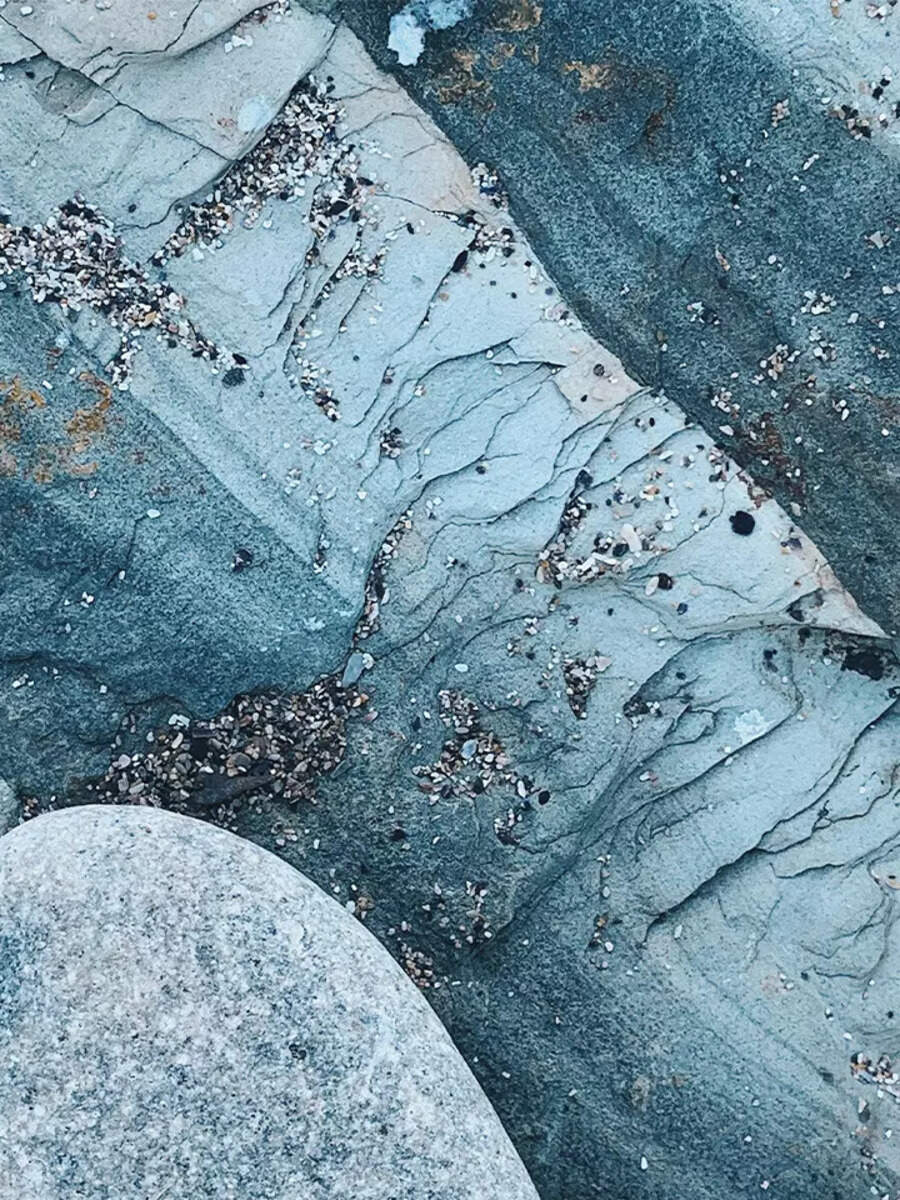 10 shocking climate change facts everyone must know Times of India