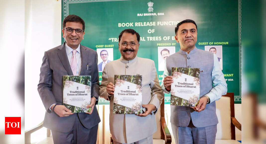 CJI: Climate change affecting most marginalised in society | Goa News ...