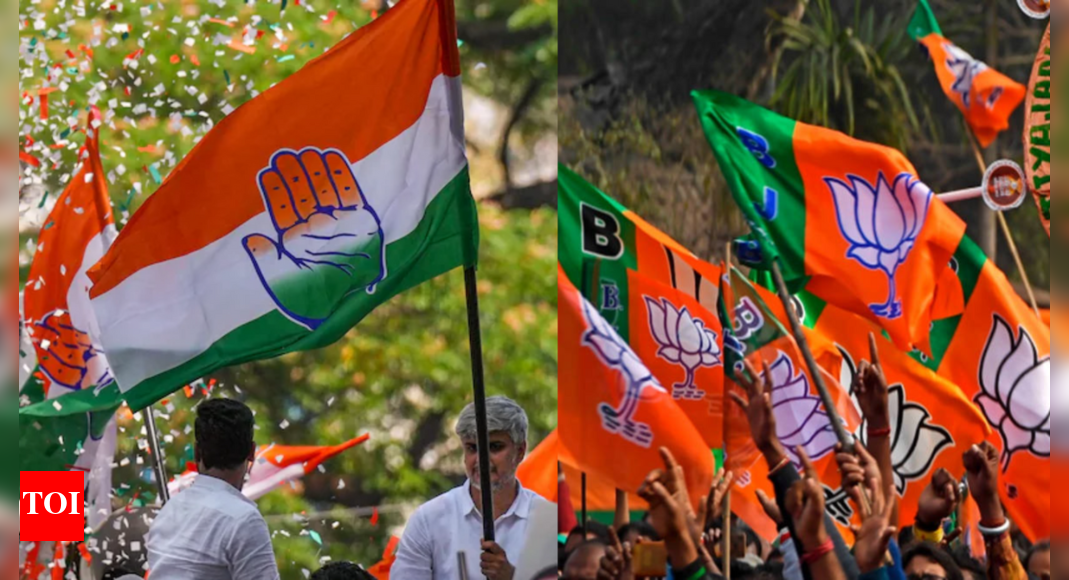 Maharashtra, Jharkhand Election 2024 Live Updates Champai, Sita