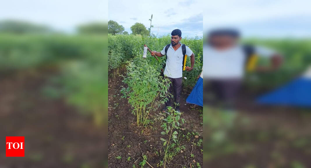 Innovative School Dropout Farmer Creates EcoFriendly Machine to Boost