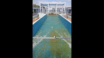 Despite inflation, per-MLD cost of Cauvery Stage V up only 6%