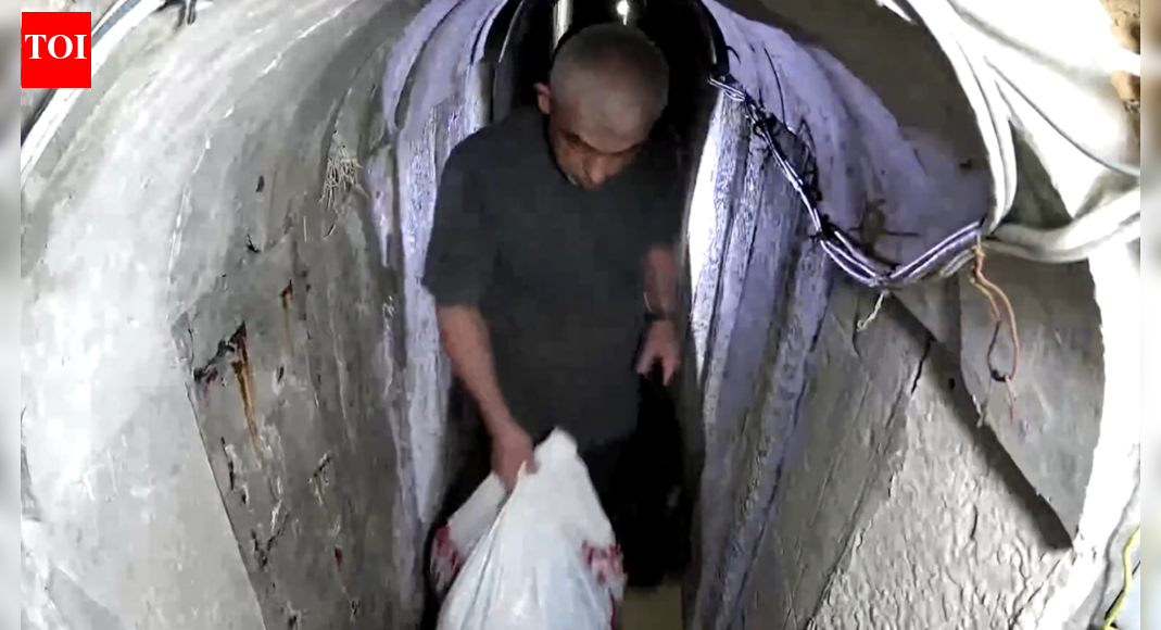 timesofindia.indiatimes.com