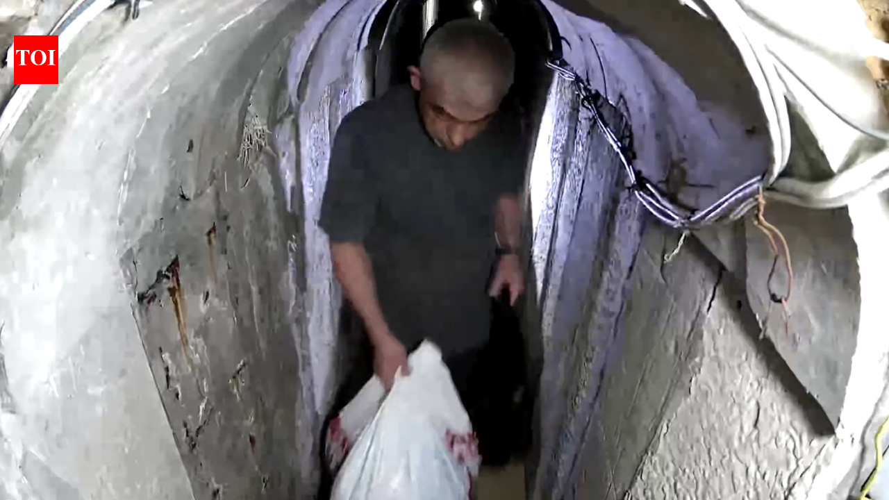 timesofindia.indiatimes.com