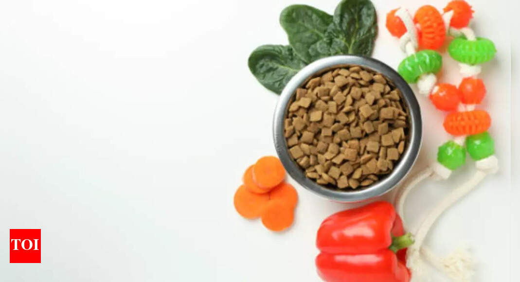 Vegetarian Dog Food The Rise of Vegetarian Dog Food for Healthier Pets