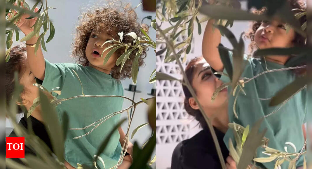 Nayanthara spends quality time with her baby boys - WATCH