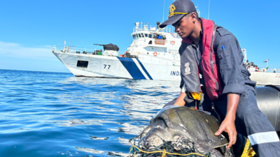 Indian Coast Guard rescues Olive Ridley turtle