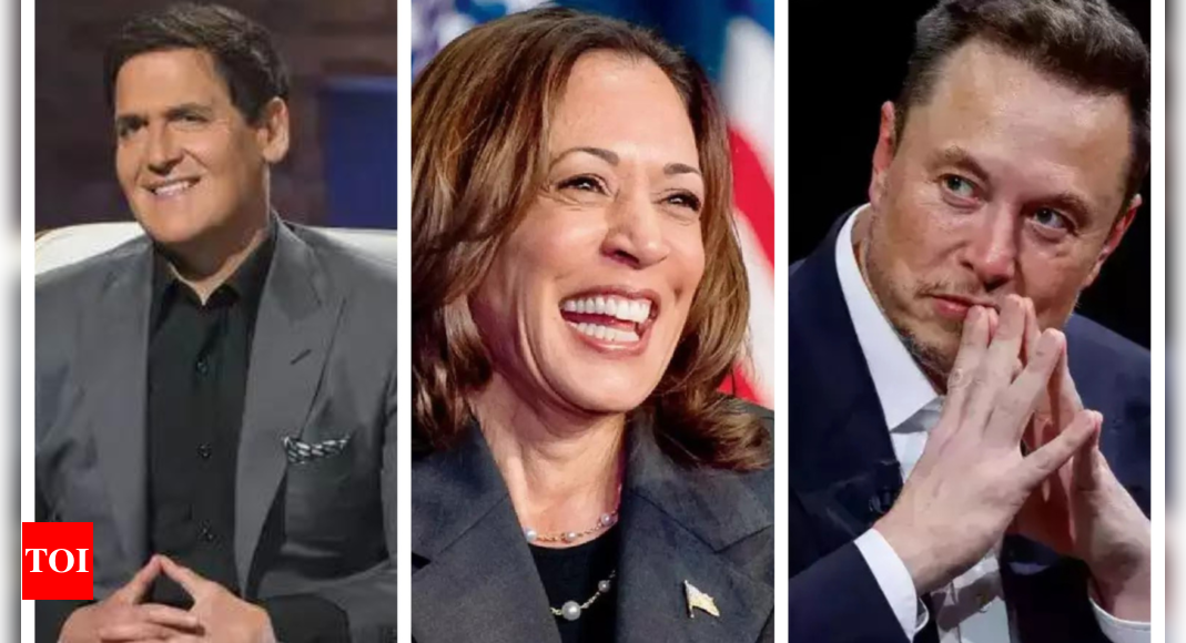 Mark Cuban wanted Elon Musk and Kamala Harris to be friends. Then this happened… – Times of India