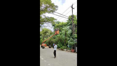 Lights fixed, trees pruned: Discom preps for Diwali