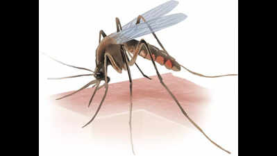 Baran teen succumbs to dengue in Kota