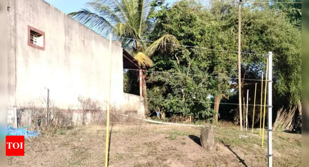 Rs1.5cr sanctioned for solar fences around homes in Pune’s Junnar to curb leopard attacks