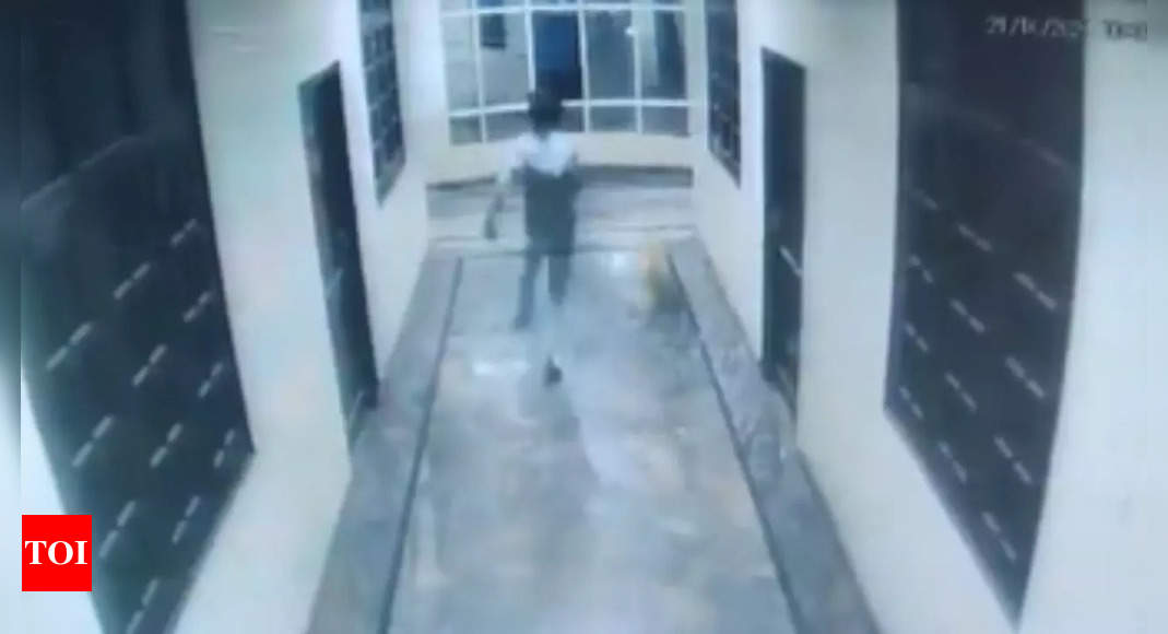 Watch: Chasing dog, man falls off 3rd floor in Hyderabad, dies | Hyderabad News