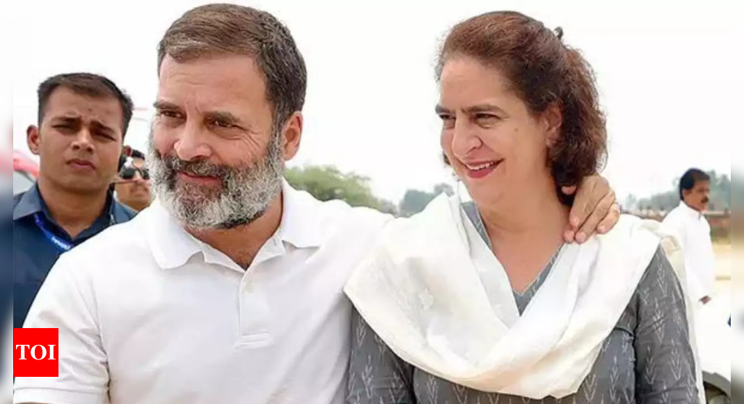 'Priyanka will be passionate champion of Wayanad's needs': Rahul Gandhi