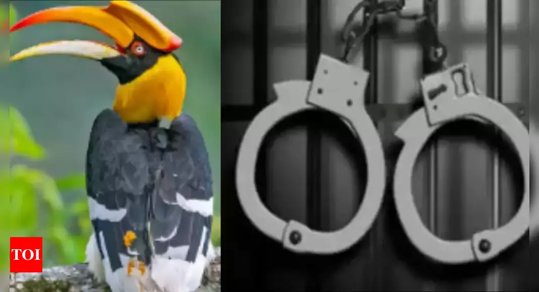 4 hornbill birds found hidden in luggage rescued at Mumbai airport; 2 passengers held | Mumbai News