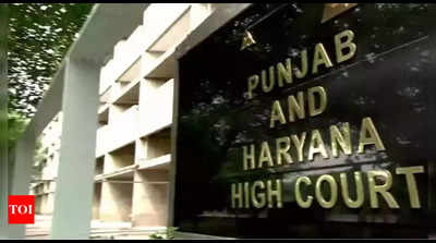 Calling husband 'Hijda' an act of mental cruelty, makes grounds for divorce: Punjab and Haryana HC