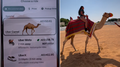 No, you cannot get a Camel ride via Uber in Dubai; here's why