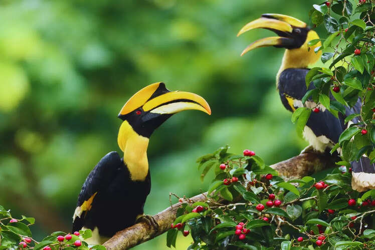 A haven for birdwatchers