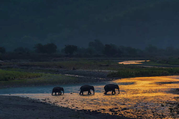 Vital role in ecotourism