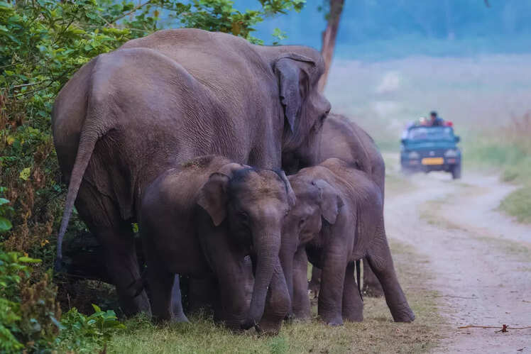 India&rsquo;s oldest national park