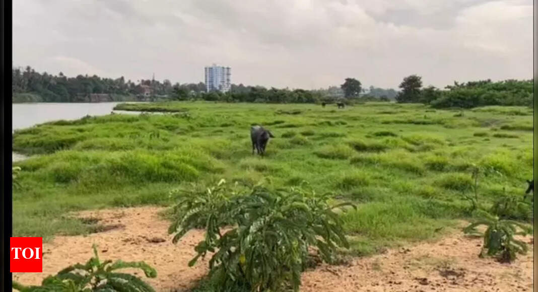 Parunthuranchi Emerging Wedding Destination in Aluva Kochi News