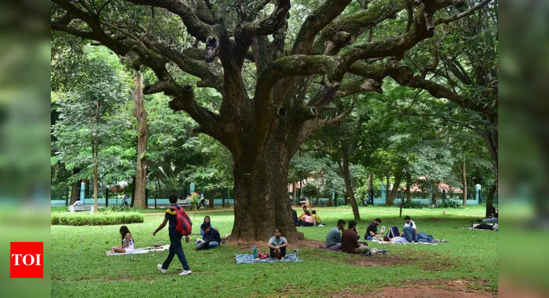 Yelahanka to Introduce a New Biodiversity Park: A Green Oasis in Bengaluru | Bengaluru News