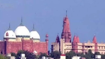 Allahabad HC bins plea to recall order to club Mathura Idgah cases